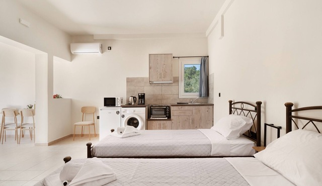 Apartment 'Panagis 2' with Mountain View, Wi-Fi and Air Conditioning in argostoliou