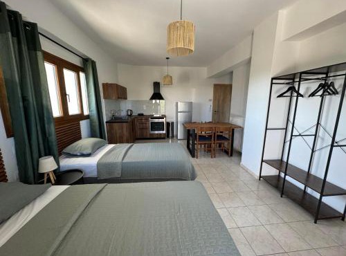 Apartment Spyros Ammoudi in Amoudi