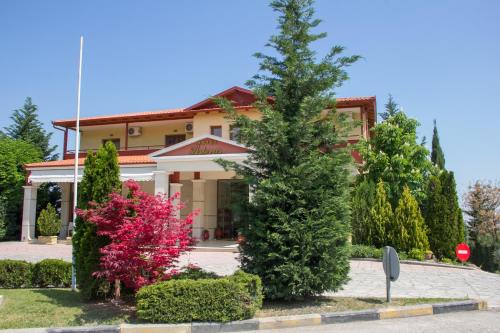 Asteras Hotel in Naousa
