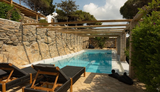Baroness in Mykonos with 5 bedrooms and 4.5 bathrooms