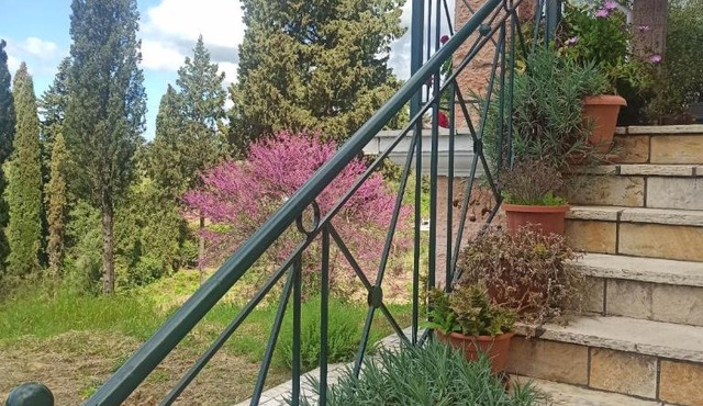 Blondie's House in Evropoúloi