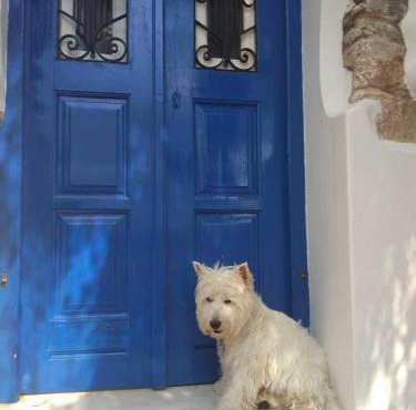 Blue & White: An Absolute Aegean dream house