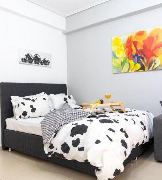 C3 Modern Spartan Apartment in Sparta