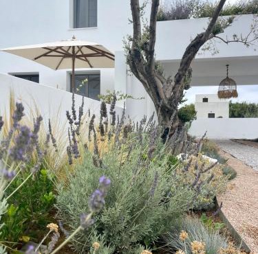 Casa di Amerissa Premium Accommodation in Skiros