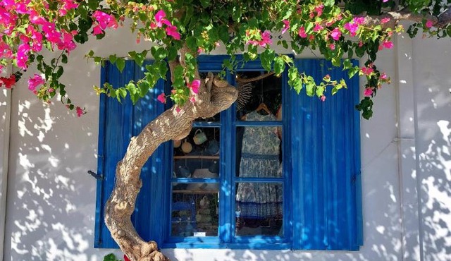 Chez Cécile Home in Mochlos