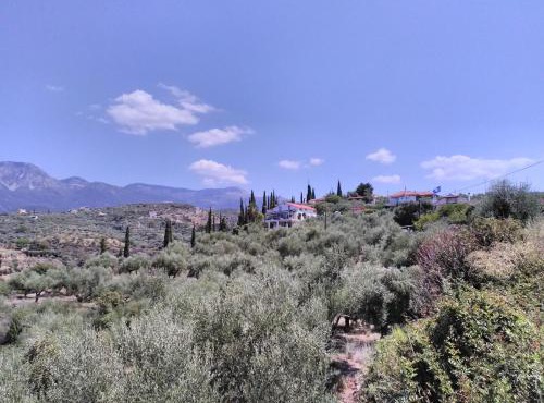 Chirios Napa Studios in Megáli Mandínia
