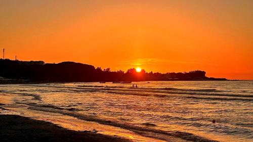 Dolphin Studios-Near the Beach in Roda