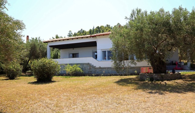 Elea Mare offers a real dream vacation. in Kassandra