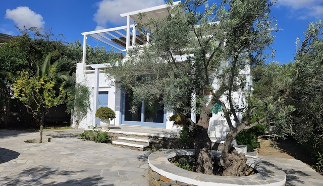Holiday Home "Villa Thalassa - Vathy" with Sea View, Wi-Fi, and Air Conditioning
