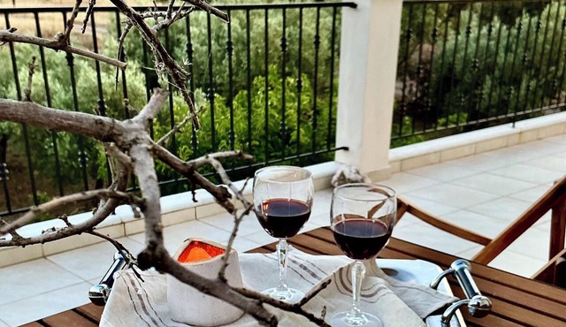 Horizon House in Evia With olive grove and vineyard