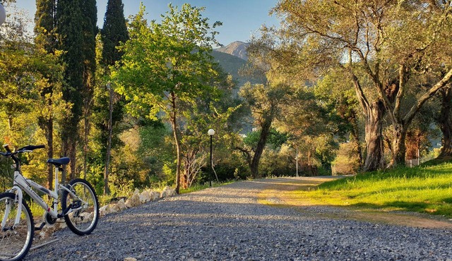 Hotel Yannis Corfu in Corfu