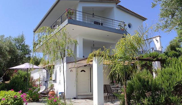 House in olive grove near the sea in Kalamaki