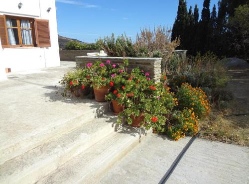 House in the meadow near the Sea in Ormos Isternion