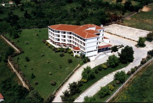 King Alexander in Florina