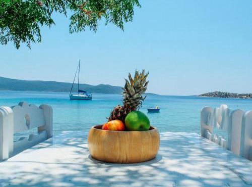 Klima Paradise