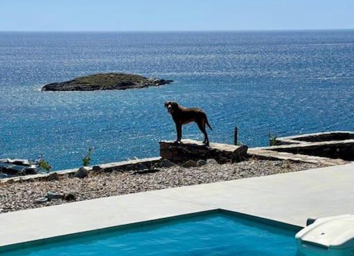 Kythnos beachfront villa with swimming pool in Kithnos