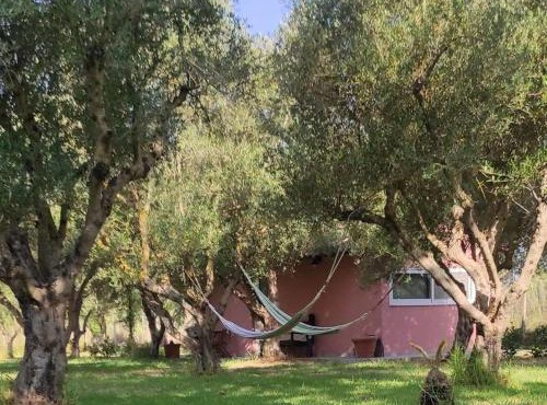 Lea's Studio in Kourouta