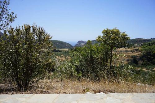 Manitohori in the Trees in Kythira
