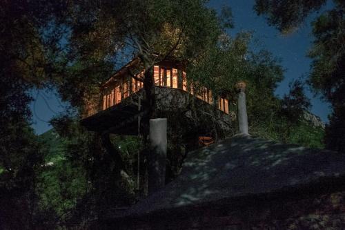 Margaritis's Treehouse in Paramonas