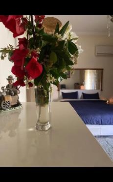 Master private room in shared appartement in Athens