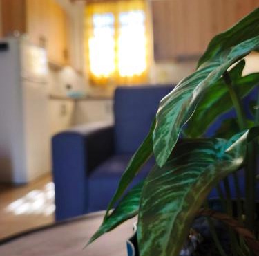 Mastic Serenity County House in Chios