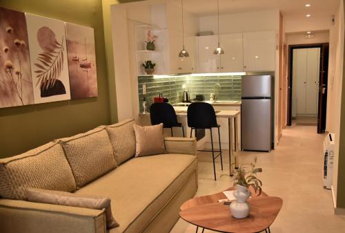Momento Arta city apartments - Olive suite in Arta