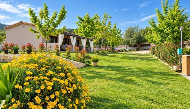 Morfo Luxury Living in Sithonia