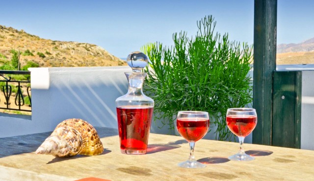 Naxos Agrotouristic apartment in a quiet village