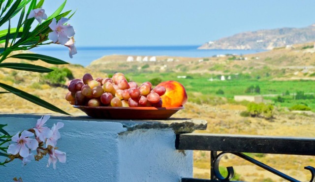Naxos Agrotouristic studio in a quiet village