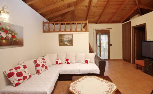 NEFELI VILLA in Patitiri