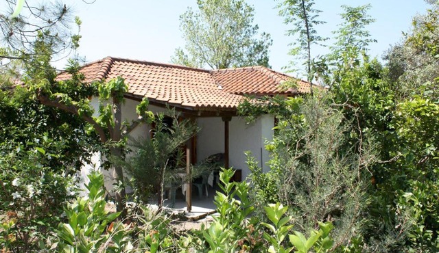 Nikos 5 in Kakovatos