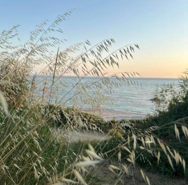 Olive House Seaside in Riza