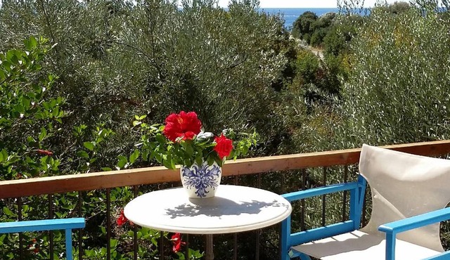 Olive tree Cottages in Palaiochora