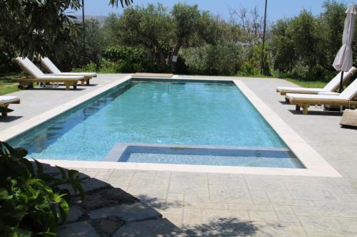 Olive View in Kissamos