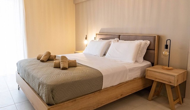 OliveVine 5 - Luxury apartment with Nafplio view in Nafplio