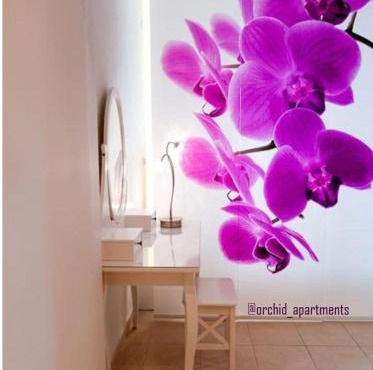 Orchid Apartments in Thermi