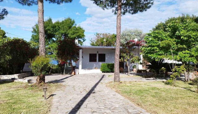 Relax in green by the sea in Palairos