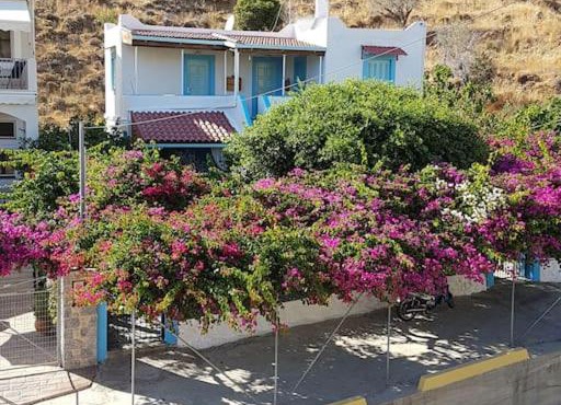 Sevasti Studios Eborios Kalymnos