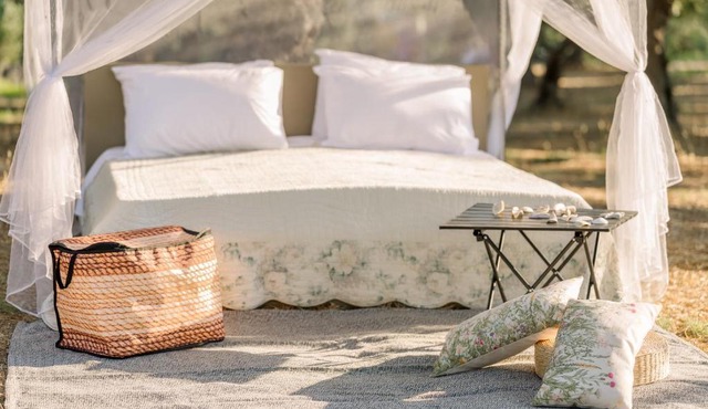 Star Sleep Elis Land Estate - Vasiliki in Amalias