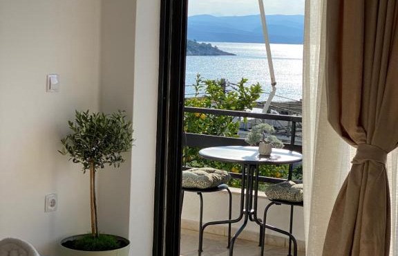 The Olive Ocean in Tolo