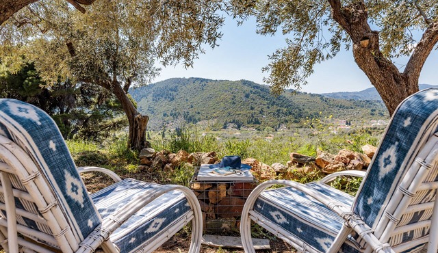 Villa Maja, cozy country stone house with view- 1 km from the beach in Skopelos