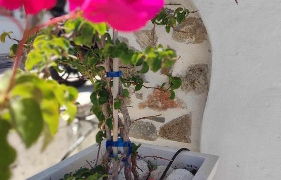 white & stone home in Mesaíon Karlovásion