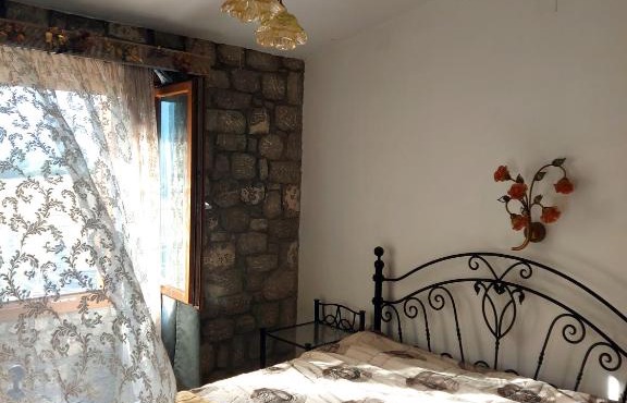 Xenios Petritis in Livadia