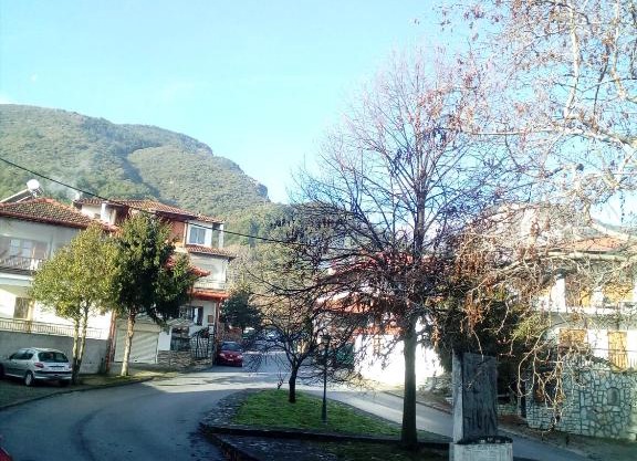 Apartment near Olympus mountain in Litochoro