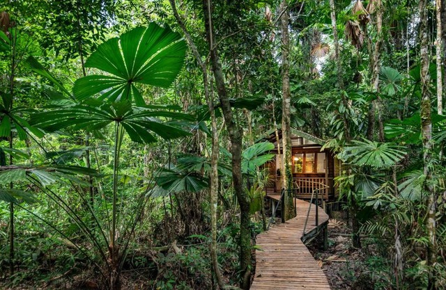 Daintree Wilderness Lodge 
