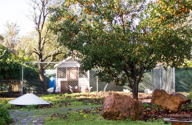 Accommodation 