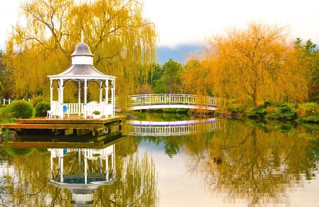 Lakeside Cottage B 