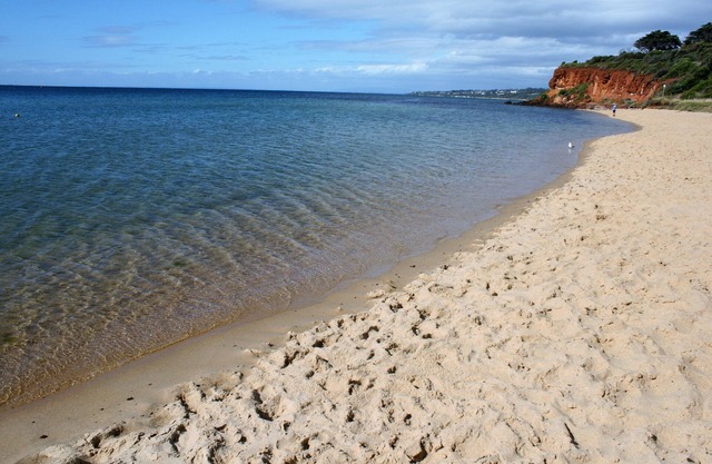 The Mornington 