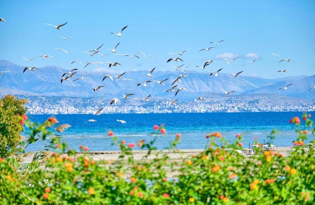 Nikos Kalamaki Corfu in Apraos