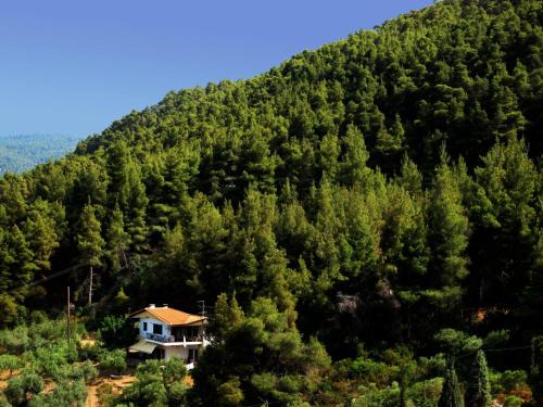 Philippos 